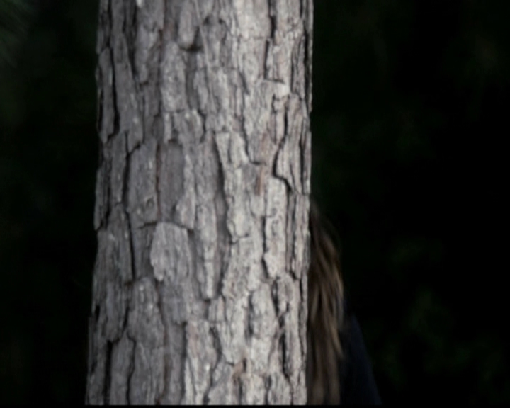 VampireDiariesWorld-dot-org_5x02TrueLies0075.jpg