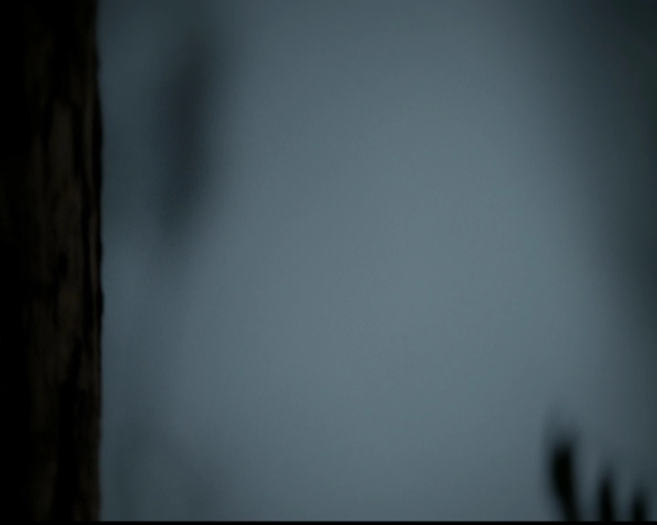 VampireDiariesWorld-dot-org_5x02TrueLies1504.jpg