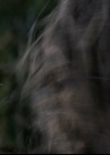 VampireDiariesWorld-dot-org_5x02TrueLies0125.jpg