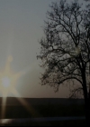 VampireDiariesWorld-dot-org_5x03OriginalSin0056.jpg