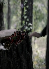 VampireDiariesWorld-dot-org_5x04ForWhomtheBellTolls2175.jpg