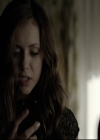 Filename=VampireDiariesWorld-dot-org_5x05MontersBall-deletedscenes2425.jpg
Filesize=133KiB
Dimensions=720x576
Date added=Dec 15, 2014 VampireDiariesWorld-dot-org_5x05MontersBall-deletedscenes2425.jpg