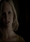 VampireDiariesWorld-dot-org_5x05MontersBall2082.jpg
