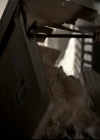 VampireDiariesWorld-dot-org_5x06HandleWithCare1202.jpg