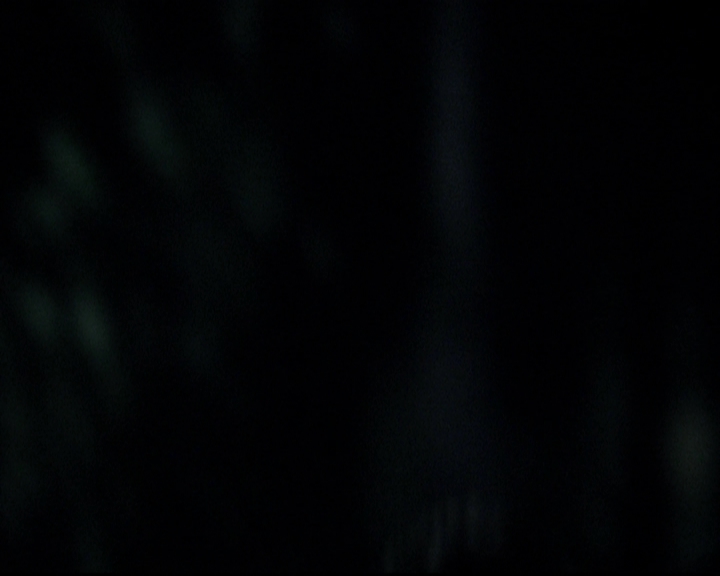 VampireDiariesWorld-dot-org_5x07DeathAndTheMaiden2310.jpg