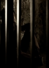 VampireDiariesWorld-dot-org_5x09TheCell0779.jpg