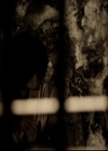 VampireDiariesWorld-dot-org_5x09TheCell1205.jpg