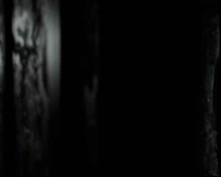 VampireDiariesWorld-dot-org_5x10FiftyShadesOfGrayson0062.jpg