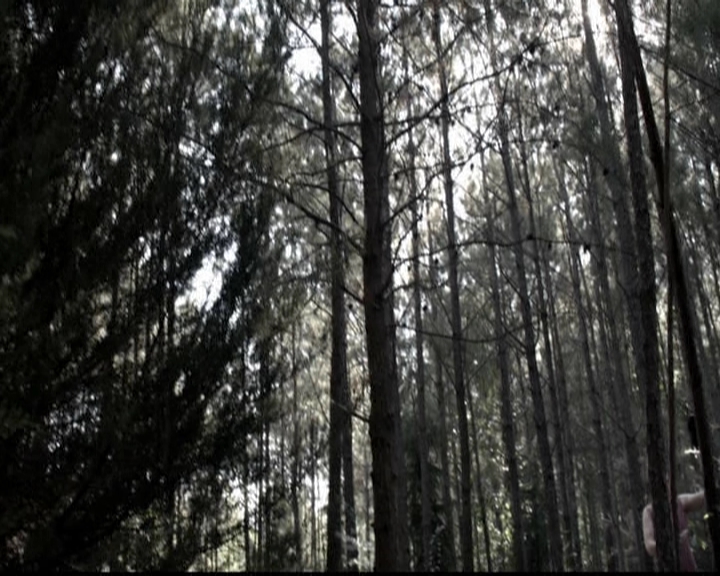 VampireDiariesWorld-dot-org_5x10FiftyShadesOfGrayson0569.jpg VampireDiariesWorld-dot-org_5x10FiftyShadesOfGrayson0569.jpg