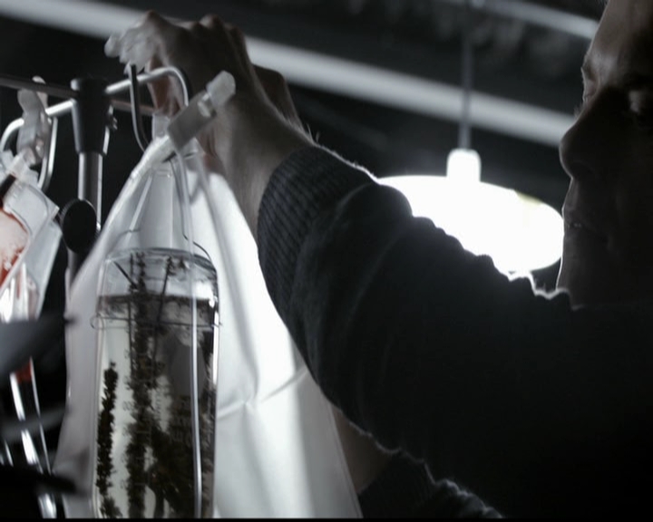 VampireDiariesWorld-dot-org_5x10FiftyShadesOfGrayson0827.jpg VampireDiariesWorld-dot-org_5x10FiftyShadesOfGrayson0827.jpg