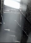 VampireDiariesWorld-dot-org_5x10FiftyShadesOfGrayson0244.jpg