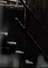 VampireDiariesWorld-dot-org_5x10FiftyShadesOfGrayson0245.jpg