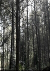 VampireDiariesWorld-dot-org_5x10FiftyShadesOfGrayson0570.jpg