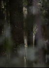 VampireDiariesWorld-dot-org_5x11-500YearsOfSolitude0807.jpg