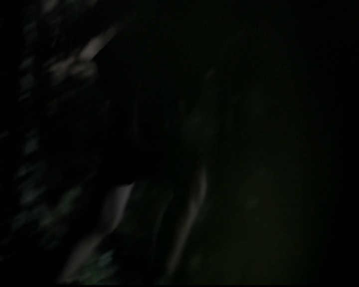 VampireDiariesWorld-dot-org_5x12TheDevilInside4050.jpg