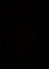 VampireDiariesWorld-dot-org_5x13TotalEclipseOfTheHeart1250.jpg