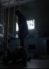 Filename=VampireDiariesWorld-dot-org_5x13TotalEclipseOfTheHeart2271.jpg
Filesize=186KiB
Dimensions=720x576
Date added=Dec 16, 2014 VampireDiariesWorld-dot-org_5x13TotalEclipseOfTheHeart2271.jpg