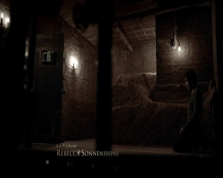 VampireDiariesWorld-dot-org_5x16WhileYouWereSleeping0252.jpg