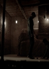 VampireDiariesWorld-dot-org_5x16WhileYouWereSleeping0264.jpg