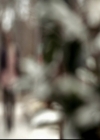 VampireDiariesWorld-dot-org_5x18ResidentEvil0760.jpg