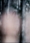 VampireDiariesWorld-dot-org_5x18ResidentEvil0788.jpg