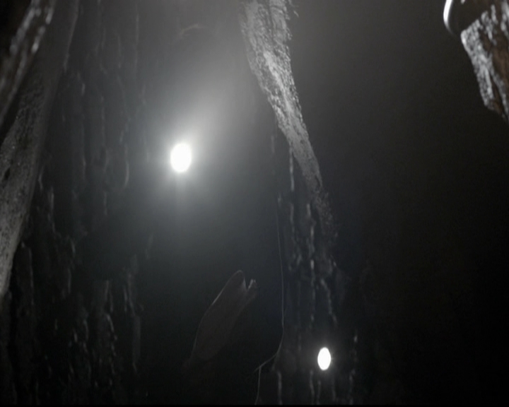 VampireDiariesWorld-dot-org_5x22Home0881.jpg