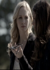 VampireDiariesWorld-dot-org_5x22Home0611.jpg
