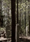 VampireDiariesWorld-dot-org_5x22Home0828.jpg