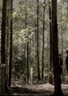 VampireDiariesWorld-dot-org_5x22Home0973.jpg