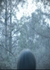 VampireDiariesWorld-dot-org_5x22Home1077.jpg