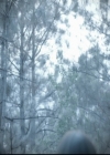VampireDiariesWorld-dot-org_5x22Home1078.jpg