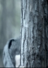 VampireDiariesWorld-dot-org_5x22Home1097.jpg