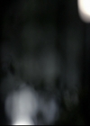 VampireDiariesWorld-dot-org_5x22Home1487.jpg