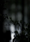 VampireDiariesWorld-dot-org_5x22Home1488.jpg