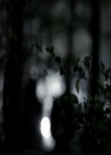 VampireDiariesWorld-dot-org_5x22Home1489.jpg