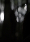 VampireDiariesWorld-dot-org_5x22Home1520.jpg