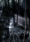 VampireDiariesWorld-dot-org_5x22Home1826.jpg