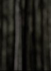 Filename=VampireDiariesWorld-dot-org_5x22Home2253.jpg
Filesize=155KiB
Dimensions=720x576
Date added=Dec 18, 2014 VampireDiariesWorld-dot-org_5x22Home2253.jpg