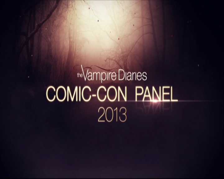 VampireDiariesWorld-dot-org_2013ComicConPanel0002.jpg