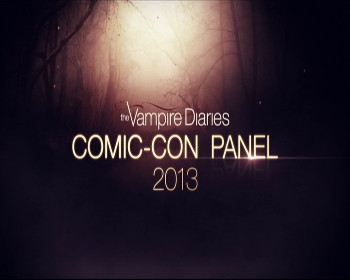 VampireDiariesWorld-dot-org_2013ComicConPanel0003.jpg