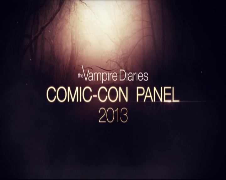 VampireDiariesWorld-dot-org_2013ComicConPanel0004.jpg
