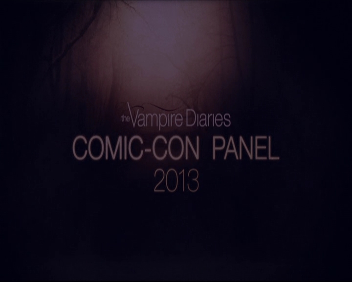 VampireDiariesWorld-dot-org_2013ComicConPanel0005.jpg