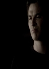 VampireDiariesWorld-dot-org_2013ComicConPanel0032.jpg