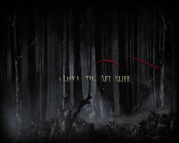 VampireDiariesWorld-dot-org_S5-ADayInTheAfterlifeWithKatGraham0014.jpg