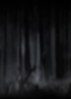 VampireDiariesWorld-dot-org_S5-IKnowWhatYouDid---InTheLast100Episodes0065.jpg