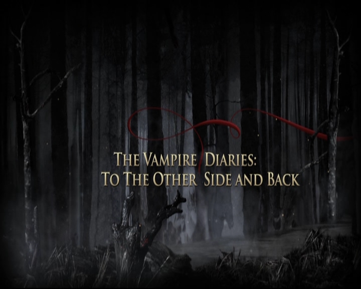 VampireDiariesWorld-dot-org_S5-TheVampireDiariesToTheOtherSideAndBack0037.jpg