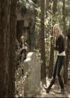 Filename=VampireDiariesWorld-dot-org_S5-SeconBite_GAGReel0195.jpg
Filesize=255KiB
Dimensions=720x576
Date added=Dec 17, 2014 VampireDiariesWorld-dot-org_S5-SeconBite_GAGReel0195.jpg