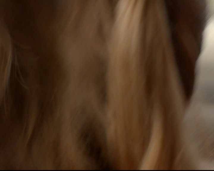 VampireDiariesWorld-dot-nl_7x01DayOneOfTwentyThousandGiveOrTake0541.jpg VampireDiariesWorld-dot-nl_7x01DayOneOfTwentyThousandGiveOrTake0541.jpg