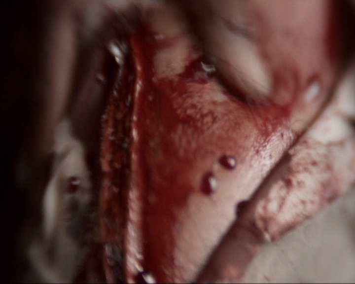 VampireDiariesWorld-dot-nl_7x02NeverLetMeGo1343.jpg