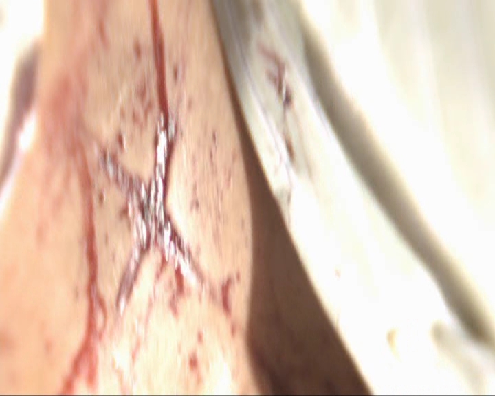 VampireDiariesWorld-dot-nl_7x02NeverLetMeGo1347.jpg